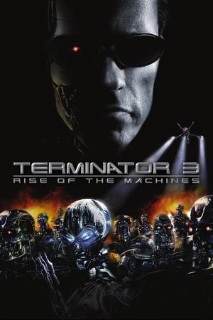 Terminator 3: Rise of the Machines (2003) movie